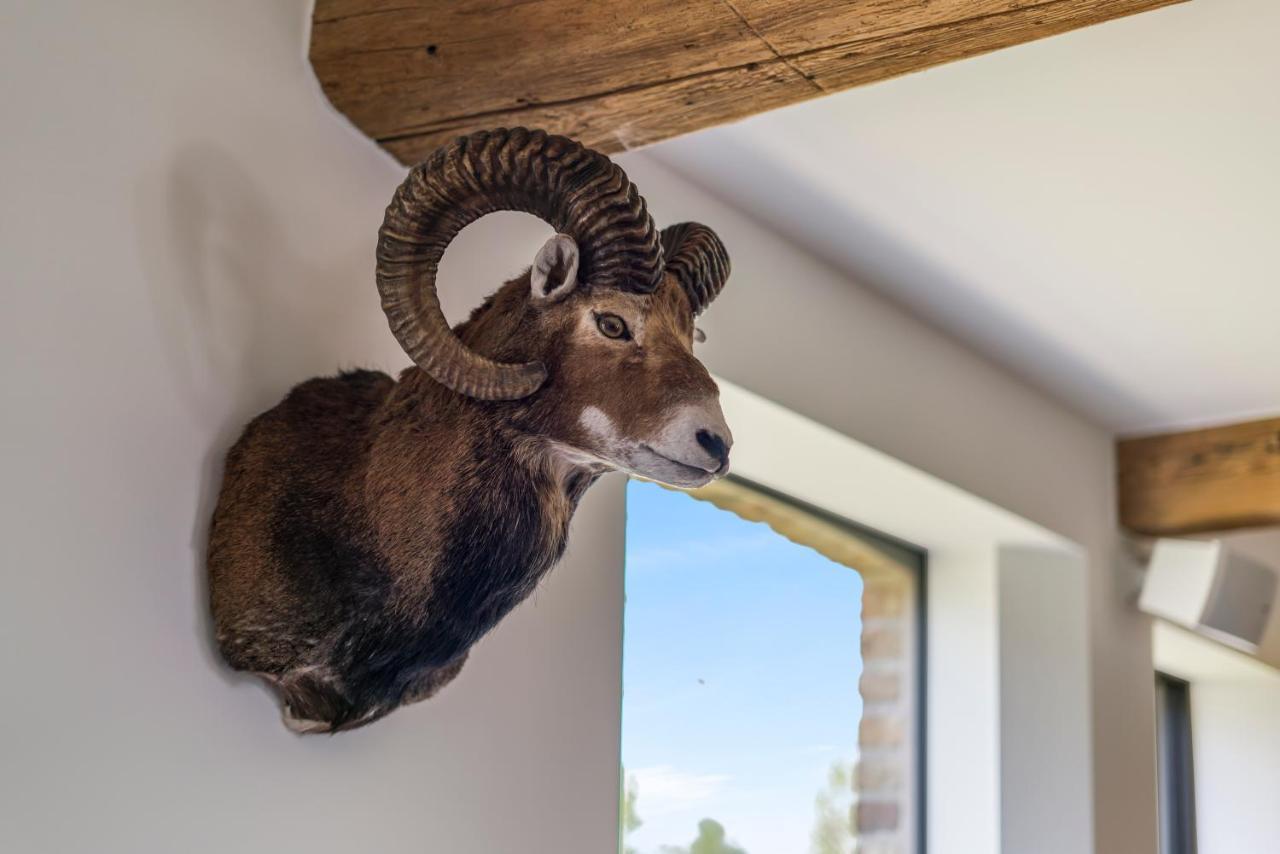 Hoeve De Zuidhoek Hébergement de vacances
